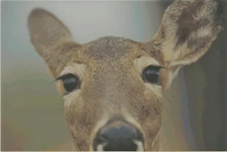 a view of a lake view