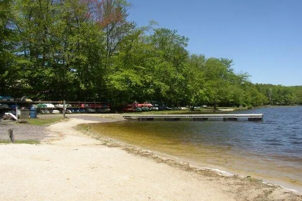 a view of a swimming pool with a lounge chairs