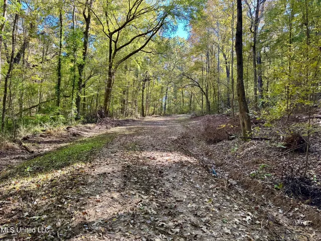 $289,000 | 493 Oxford Ms 38655, Oxford, MS 38655