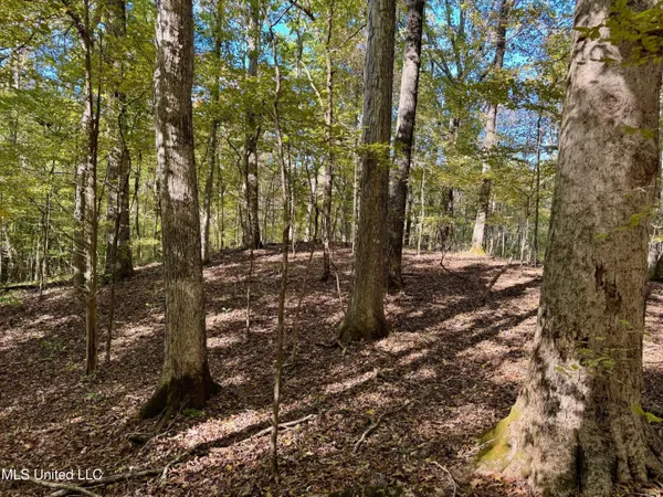 $198,000 | 493 Oxford Ms 38655, Oxford, MS 38655
