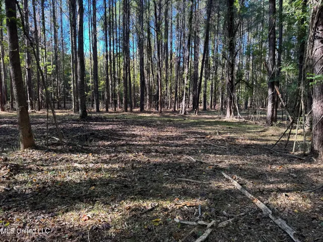 $289,000 | 493 Oxford Ms 38655, Oxford, MS 38655