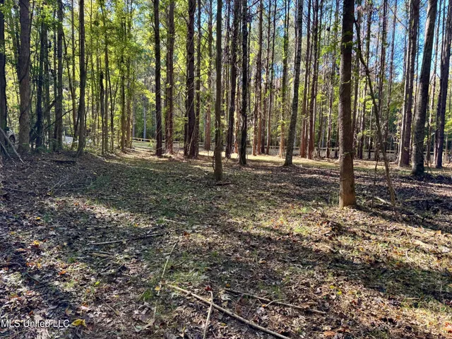 $289,000 | 493 Oxford Ms 38655, Oxford, MS 38655