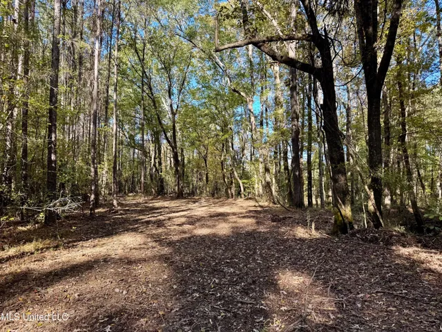 $289,000 | 493 Oxford Ms 38655, Oxford, MS 38655