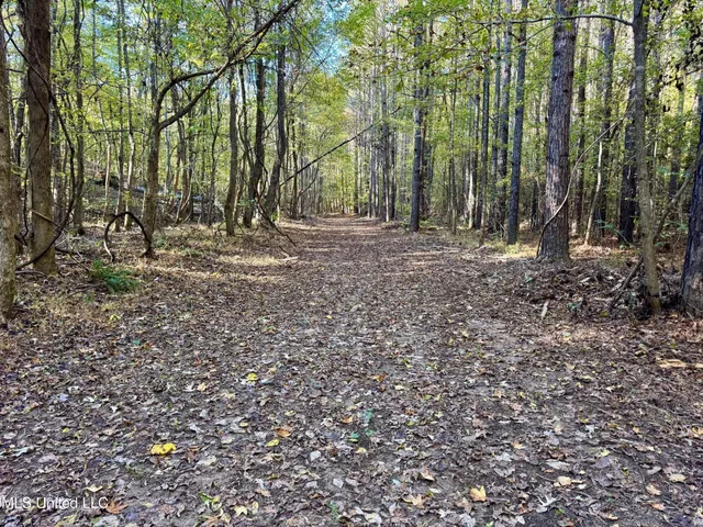 $289,000 | 493 Oxford Ms 38655, Oxford, MS 38655