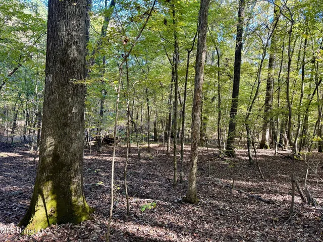 $289,000 | 493 Oxford Ms 38655, Oxford, MS 38655