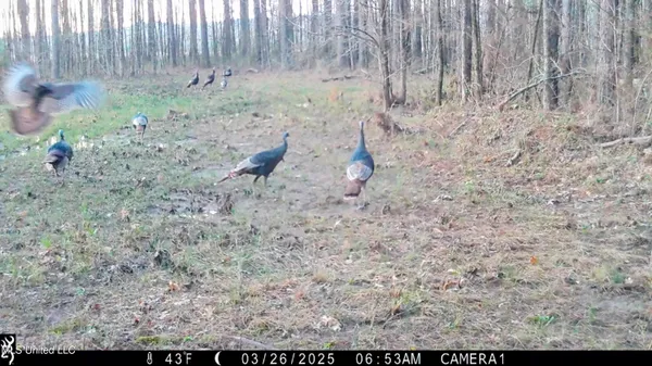 $269,500 | 493 Oxford Ms 38655, Oxford, MS 38655