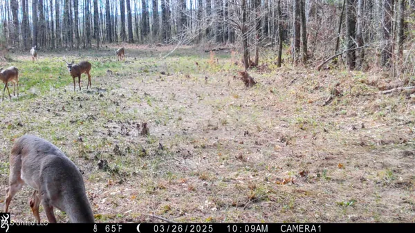 $269,500 | 493 Oxford Ms 38655, Oxford, MS 38655