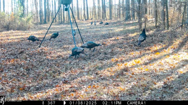 $198,000 | 493 Oxford Ms 38655, Oxford, MS 38655