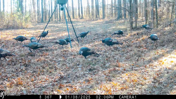 $269,500 | 493 Oxford Ms 38655, Oxford, MS 38655