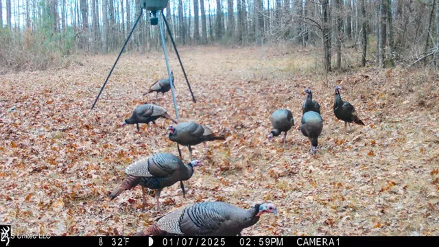 $289,000 | 493 Oxford Ms 38655, Oxford, MS 38655