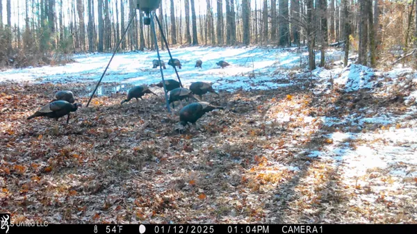 $269,500 | 493 Oxford Ms 38655, Oxford, MS 38655