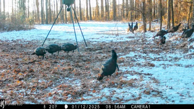 $289,000 | 493 Oxford Ms 38655, Oxford, MS 38655