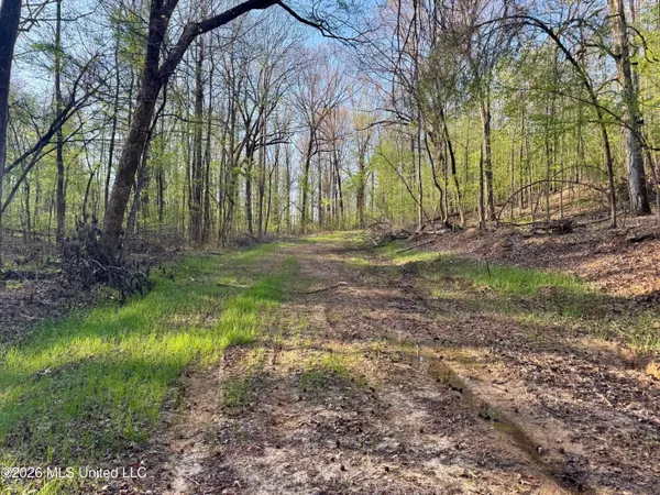 $198,000 | 493 Oxford Ms 38655, Oxford, MS 38655