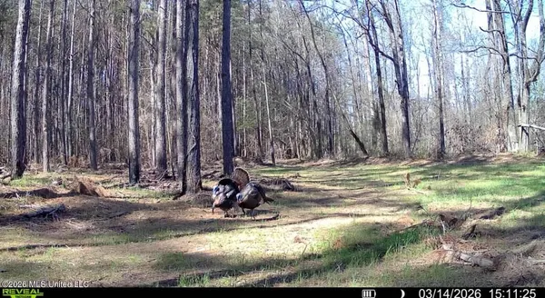 $198,000 | 493 Oxford Ms 38655, Oxford, MS 38655