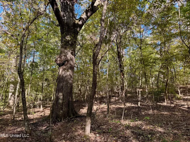 $289,000 | 493 Oxford Ms 38655, Oxford, MS 38655