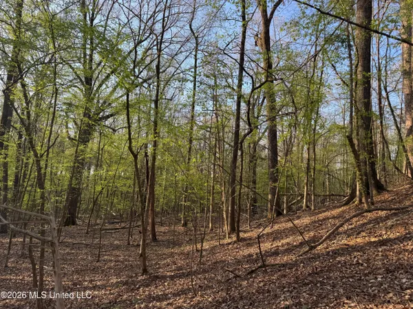 $198,000 | 493 Oxford Ms 38655, Oxford, MS 38655
