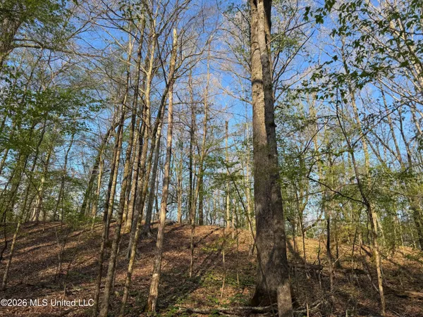 $198,000 | 493 Oxford Ms 38655, Oxford, MS 38655