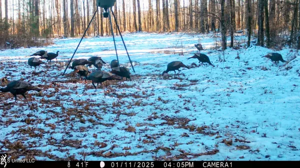 $269,500 | 493 Oxford Ms 38655, Oxford, MS 38655