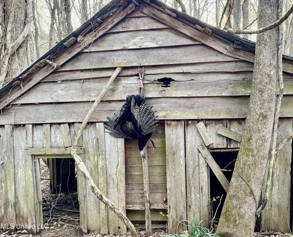 $289,000 | 493 Oxford Ms 38655, Oxford, MS 38655