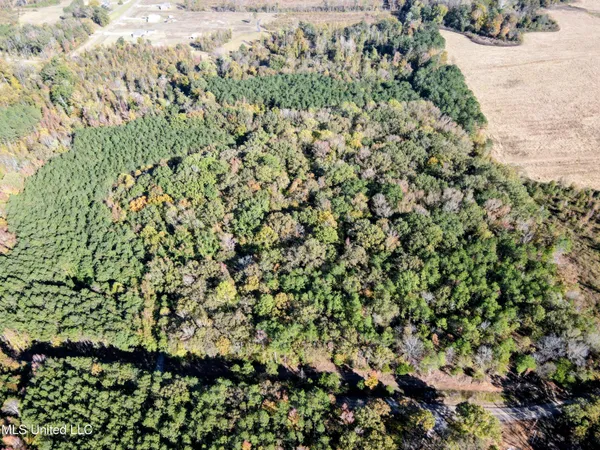 $269,500 | 493 Oxford Ms 38655, Oxford, MS 38655