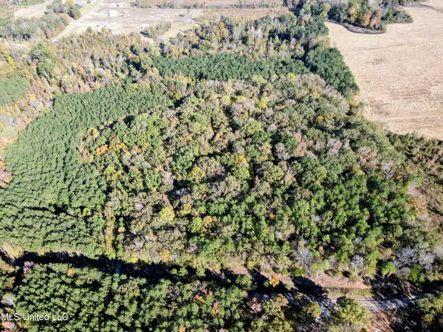 $289,000 | 493 Oxford Ms 38655, Oxford, MS 38655