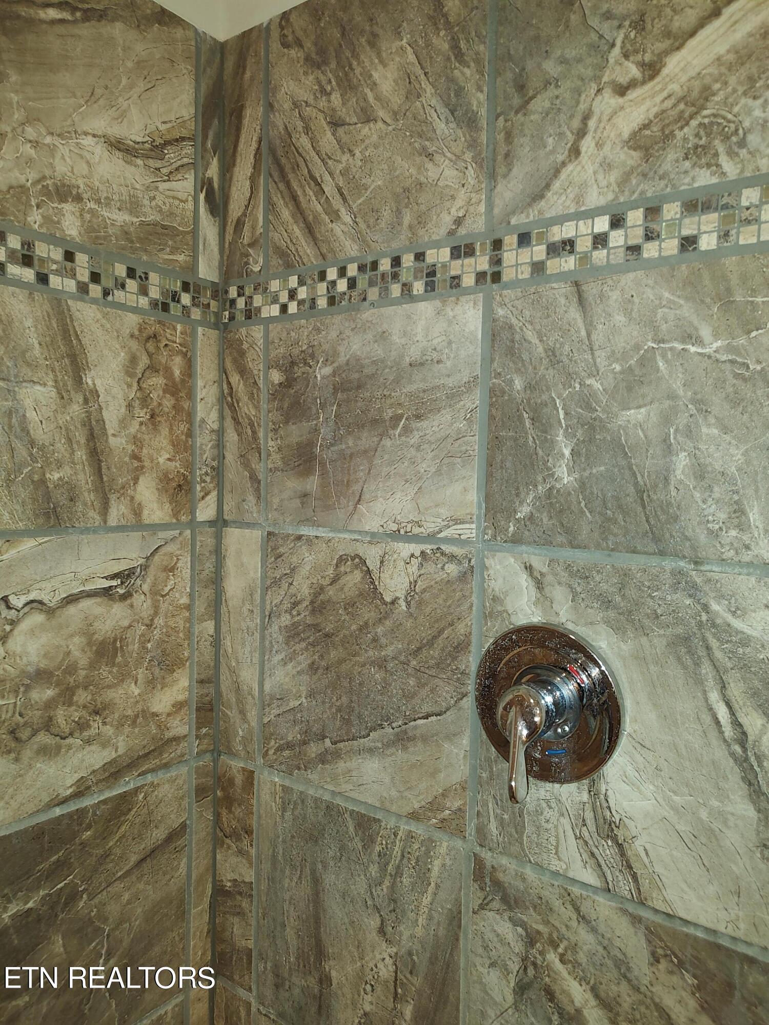1025 Shields Ridge Road New Market, TN 37820 - Photo 20 of 27 shower tile