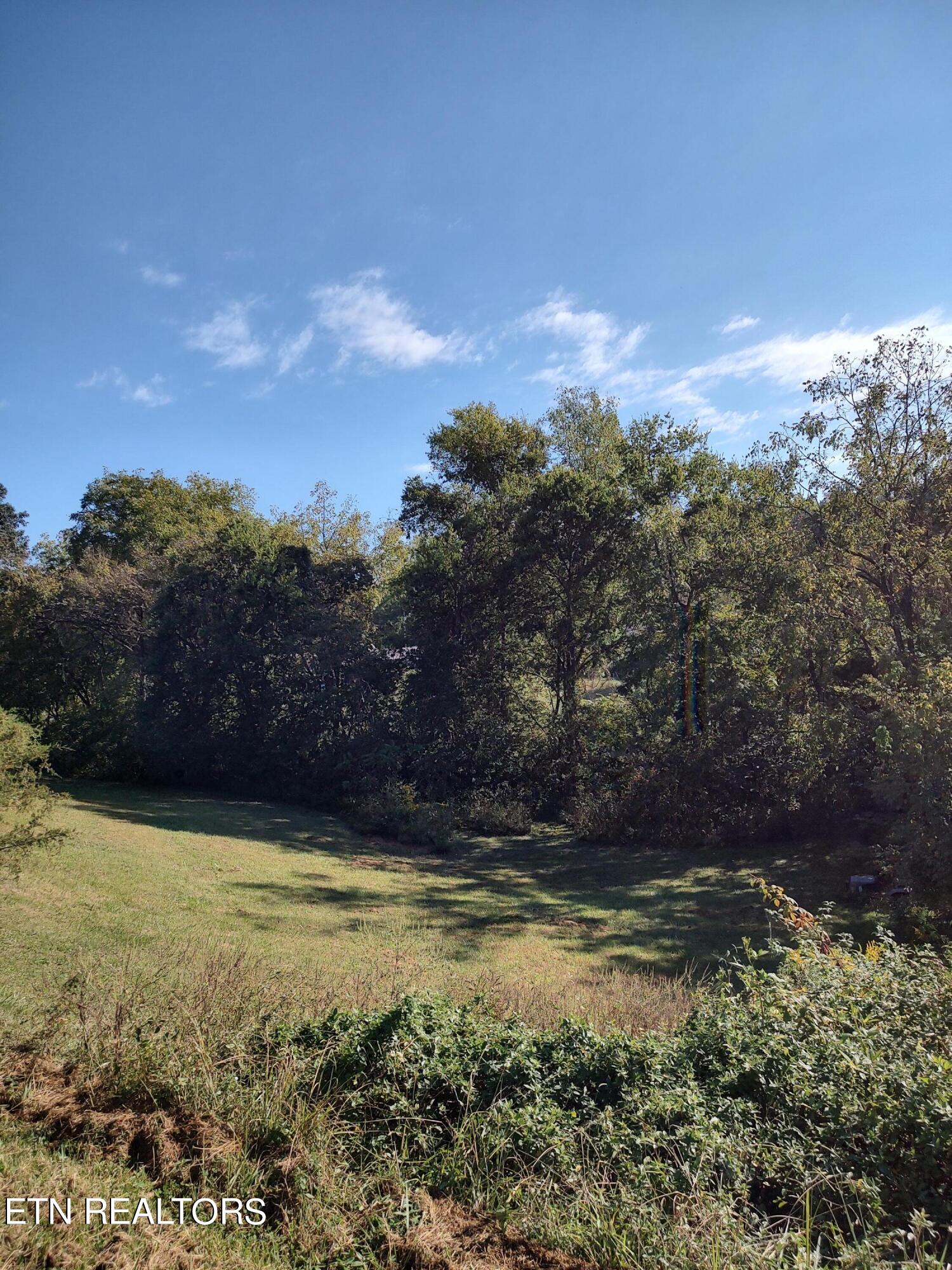 1025 Shields Ridge Road New Market, TN 37820 - Photo 5 of 27 IMG_20231001_102843853_HDR