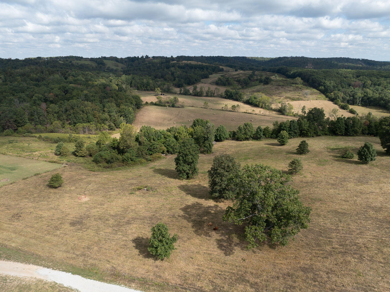 7 Route Ava, MO 65608 - Photo 109 of 111 View from House Two