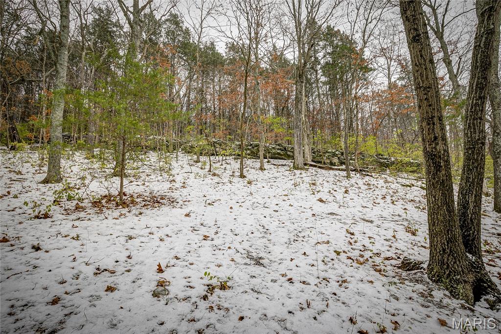 814 Bald Hill Road Eureka, MO 63025 - Photo 46 of 52