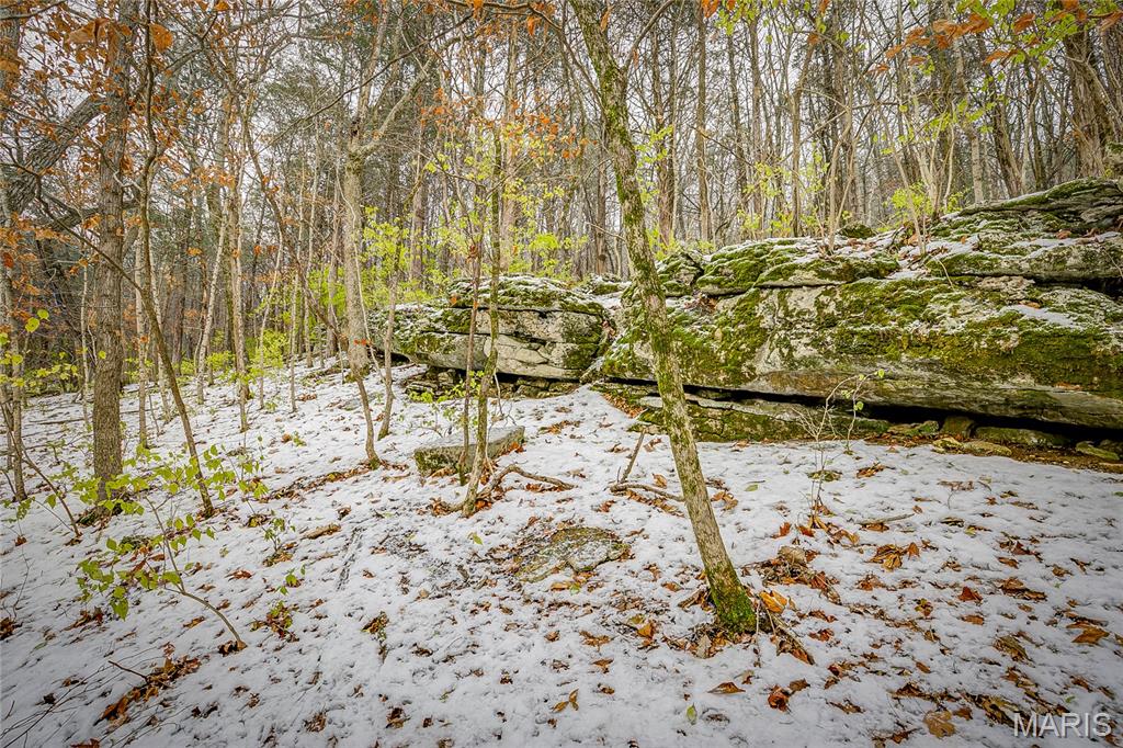 814 Bald Hill Road Eureka, MO 63025 - Photo 47 of 52