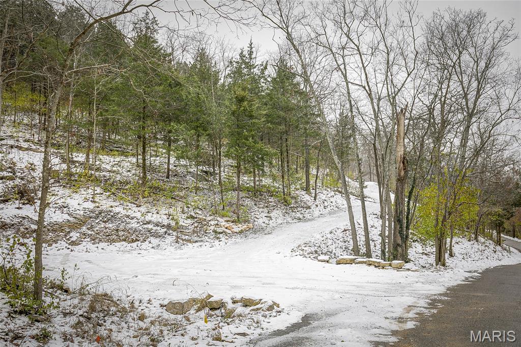 814 Bald Hill Road Eureka, MO 63025 - Photo 48 of 52