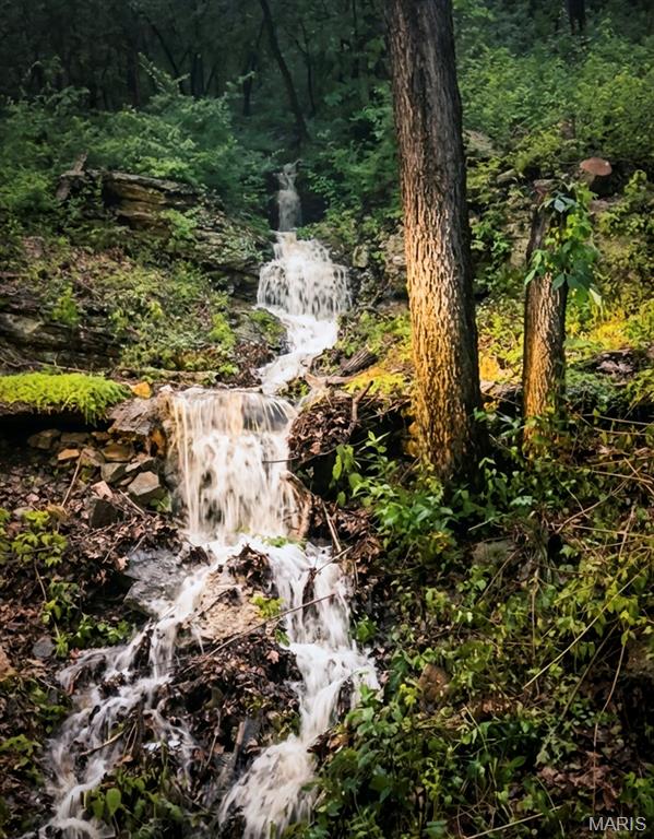 814 Bald Hill Road Eureka, MO 63025 - Photo 7 of 52