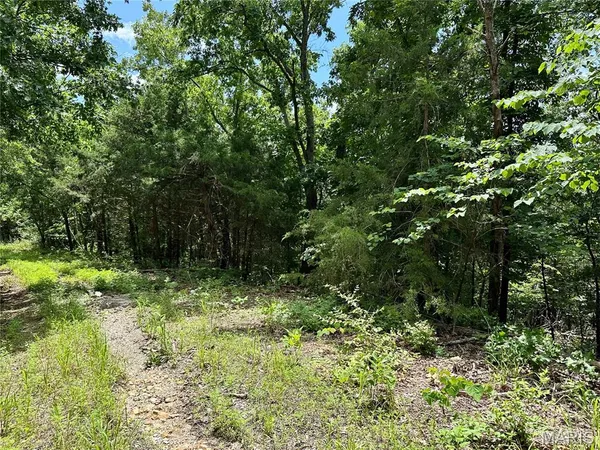 $456,900 | Tbd Bluebird Lane, Rolla, MO 65401