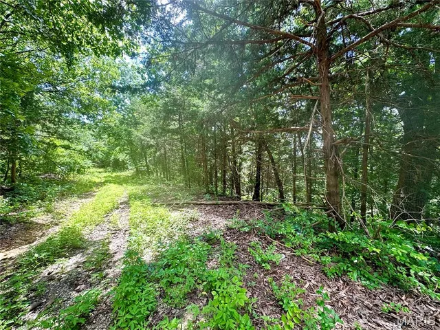 $655,000 | Tbd Bluebird Lane, Rolla, MO 65401