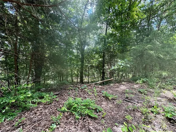 $456,900 | Tbd Bluebird Lane, Rolla, MO 65401