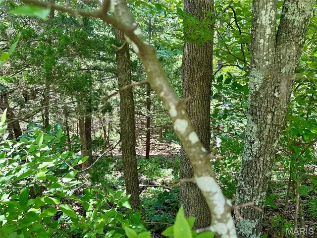 $655,000 | Tbd Bluebird Lane, Rolla, MO 65401