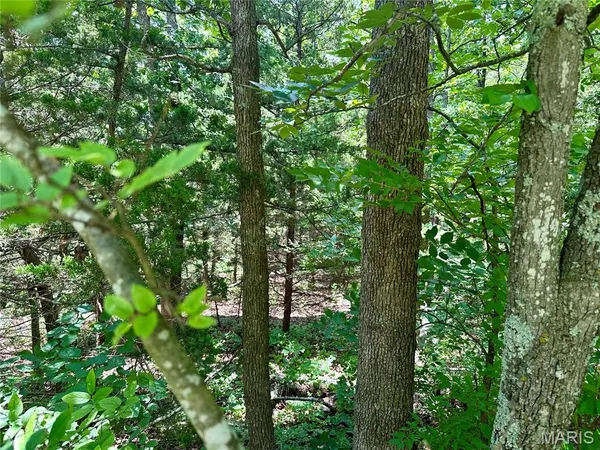 $456,900 | Tbd Bluebird Lane, Rolla, MO 65401