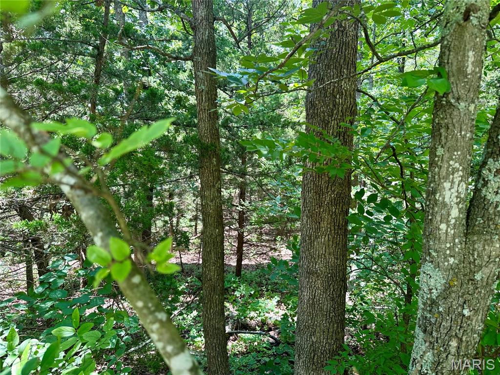 Tbd Bluebird Lane Rolla, MO 65401 - Photo 6 of 7