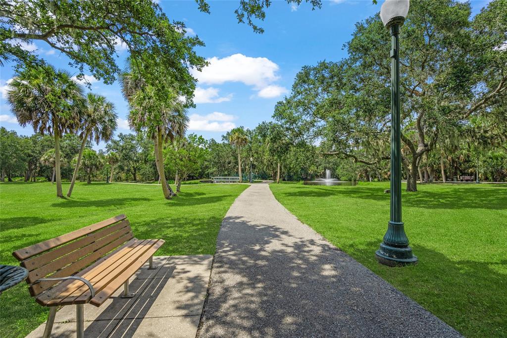 2343 Prospect Street Sarasota, FL 34239 - Photo 24 of 33 a view of a park with large trees
