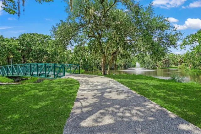 a view of a park with large trees
