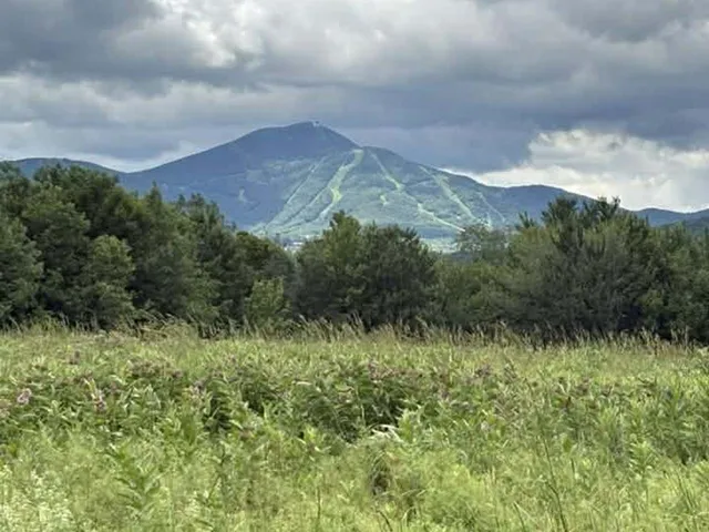 $295,000 | 0 River Bend Drive, Jay, VT 05859