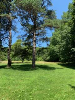 102 Splash Dam Road Sigel, PA 15860 - Photo 16 of 18