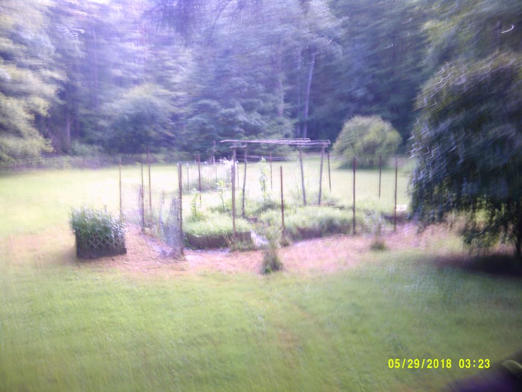 102 Splash Dam Road Sigel, PA 15860 - Photo 6 of 18