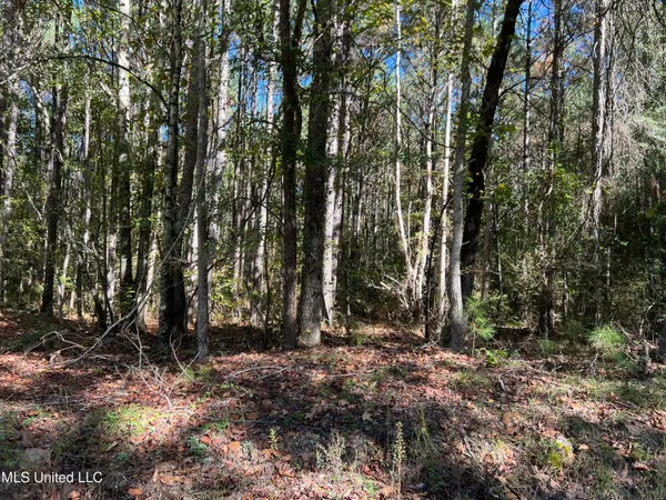 $99,700 | 0 County Road 39, Paulding, MS 39348