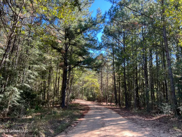 $99,700 | 0 County Road 39, Paulding, MS 39348