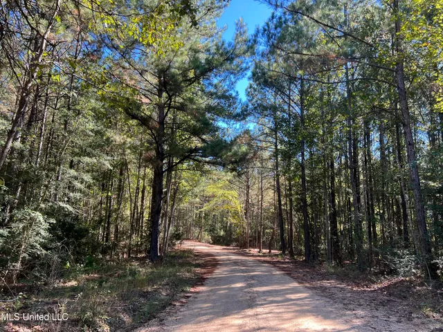 $99,700 | 0 County Road 39, Paulding, MS 39348