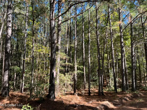 $99,700 | 0 County Road 39, Paulding, MS 39348