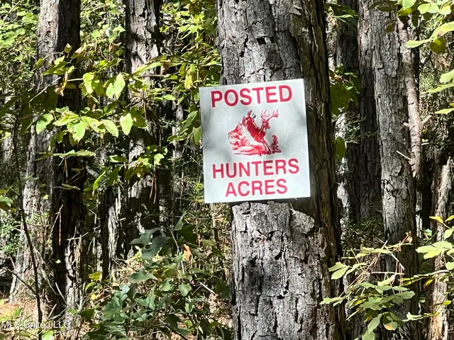 $99,700 | 0 County Road 39, Paulding, MS 39348