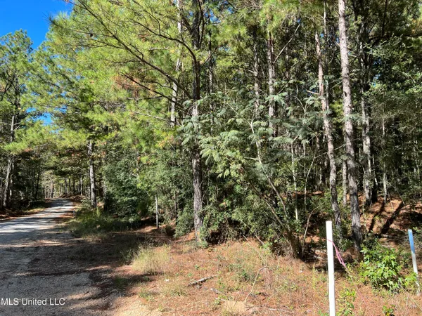 $99,700 | 0 County Road 39, Paulding, MS 39348