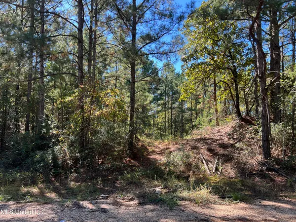 $99,700 | 0 County Road 39, Paulding, MS 39348